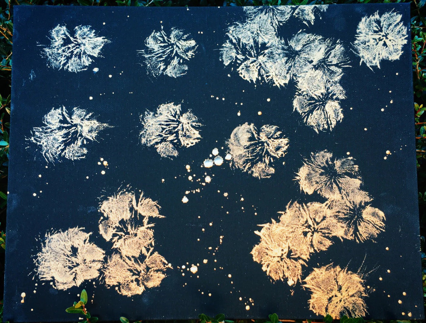 Paw Print Paintings By Juniper