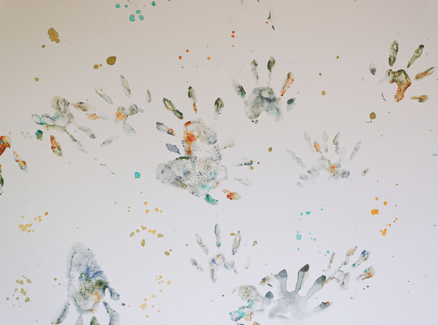 Raccoon Finger Paintings
