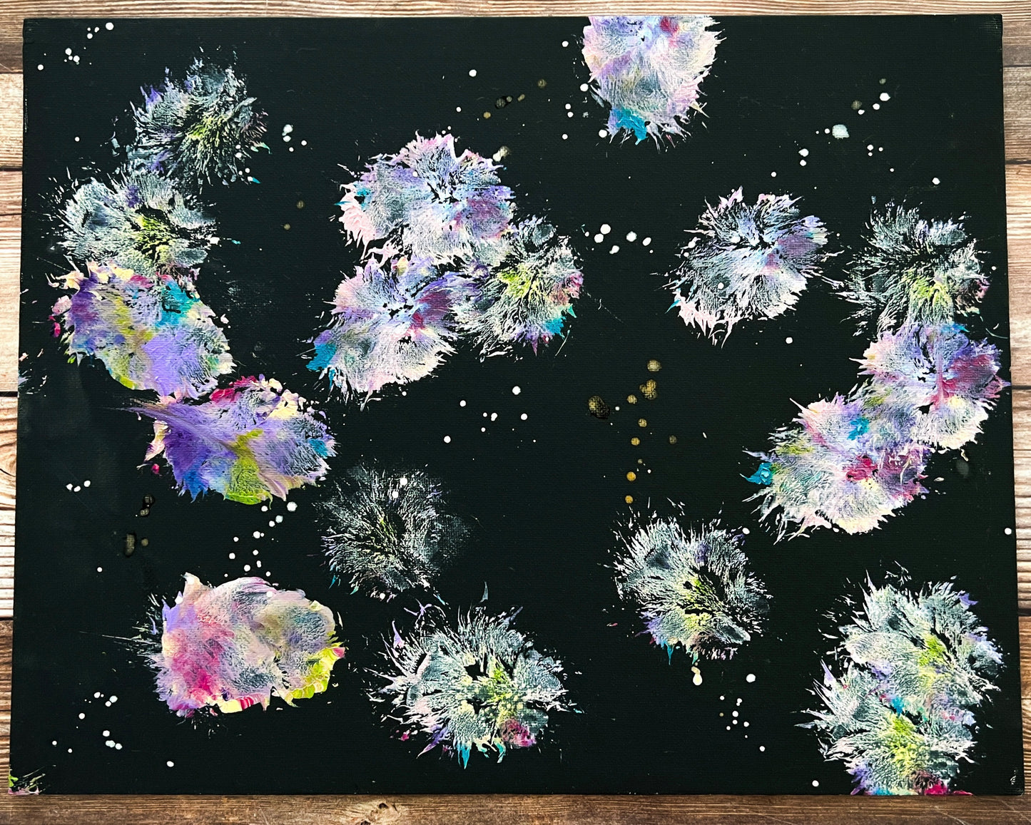 Paw Print Paintings By Elmwood the Alien