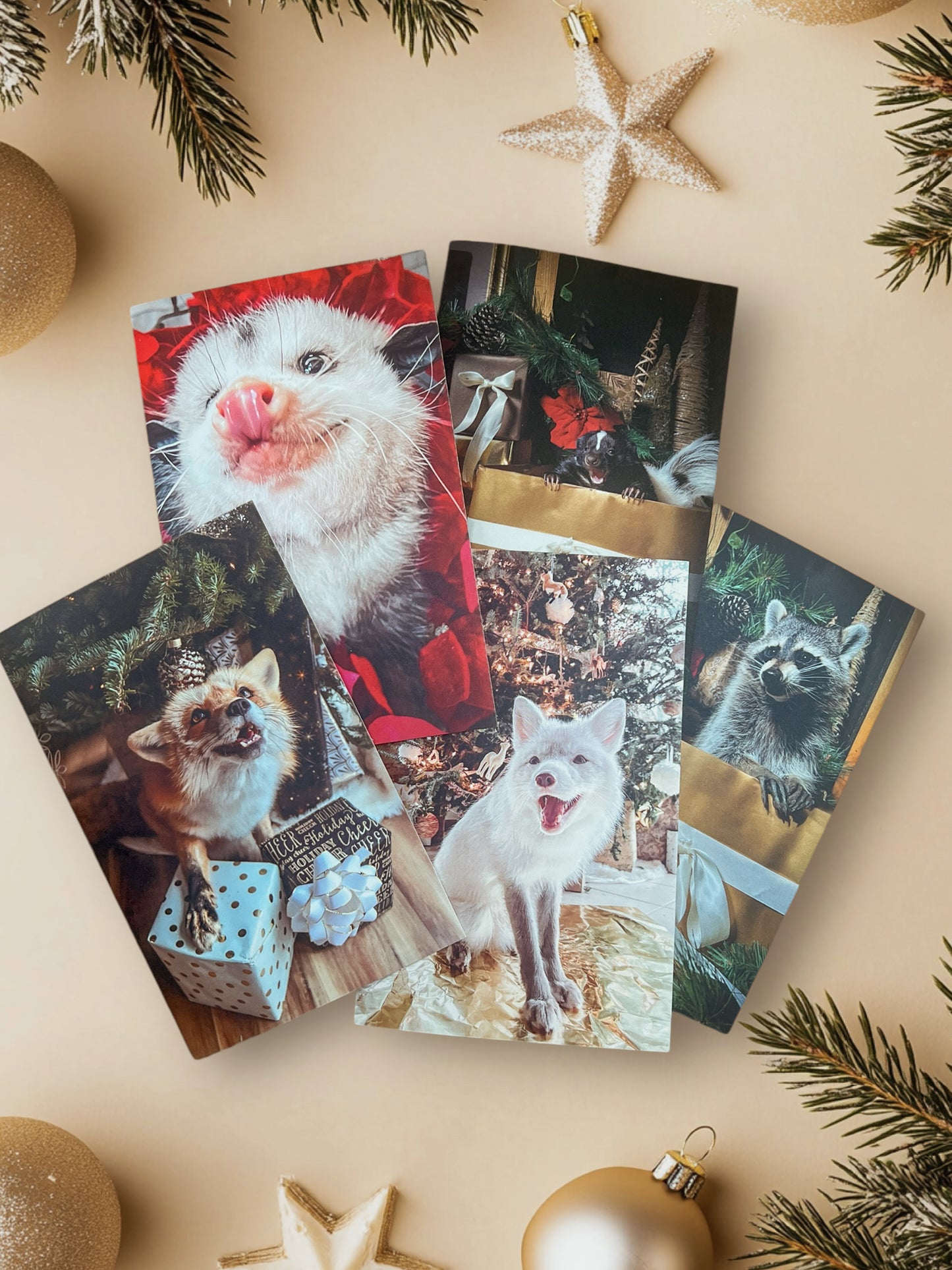 JuniperFoxx Christmas Cards