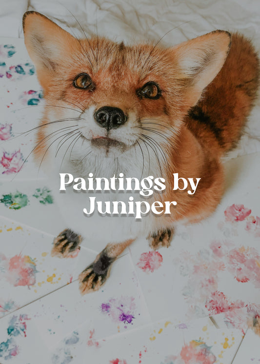 Paw Print Paintings By Juniper
