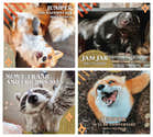 Calendrier Mural 2026 Fox Terrier – Format A3 (29,7x42 Cm), 12 Photos Mensuelles – Reliure Spirale, Grille De Notes – Idéal Cadeau Fans De Chiens - 5