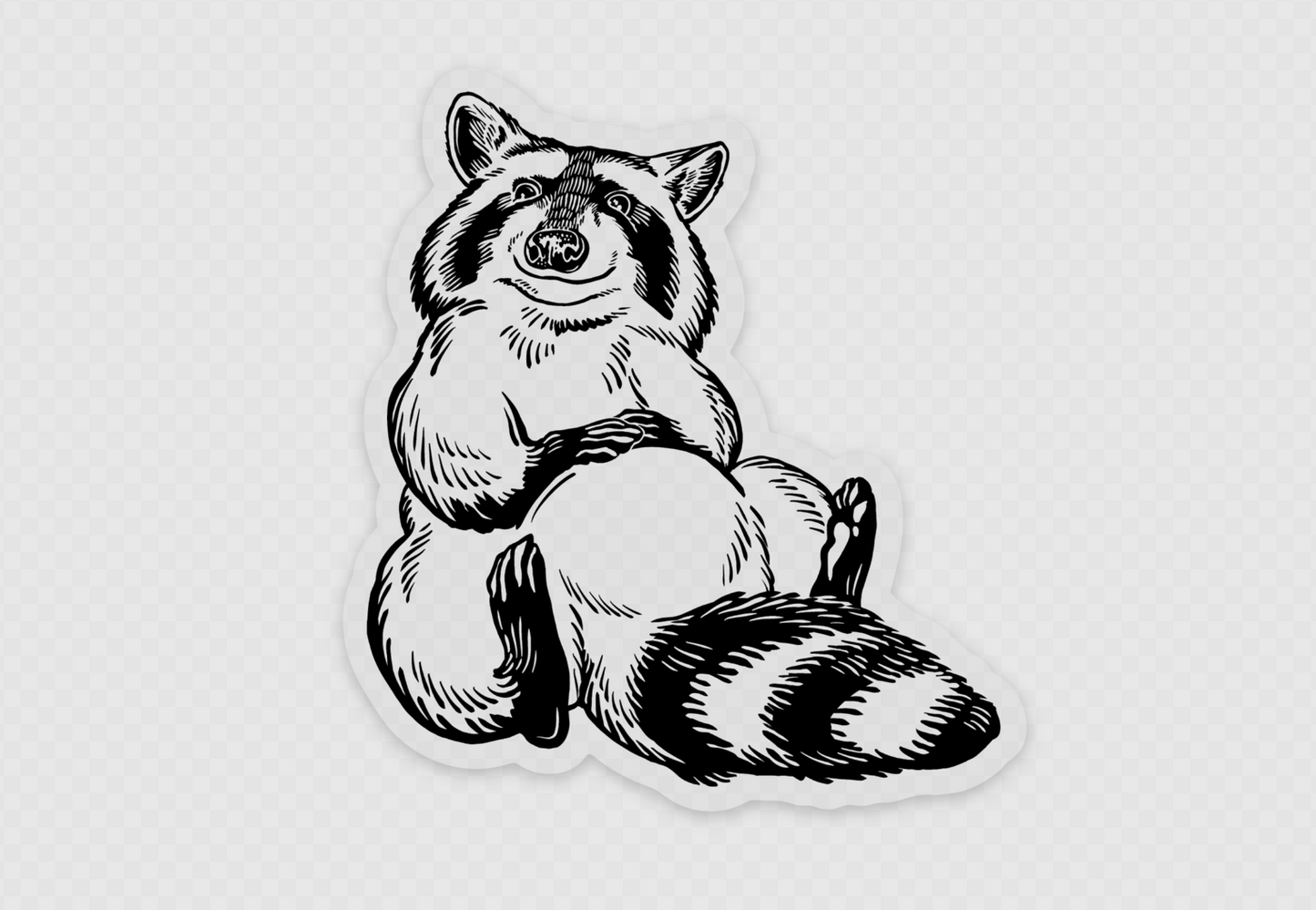 Happy Newt The Raccoon Transparent Vinyl Weatherproof Sticker