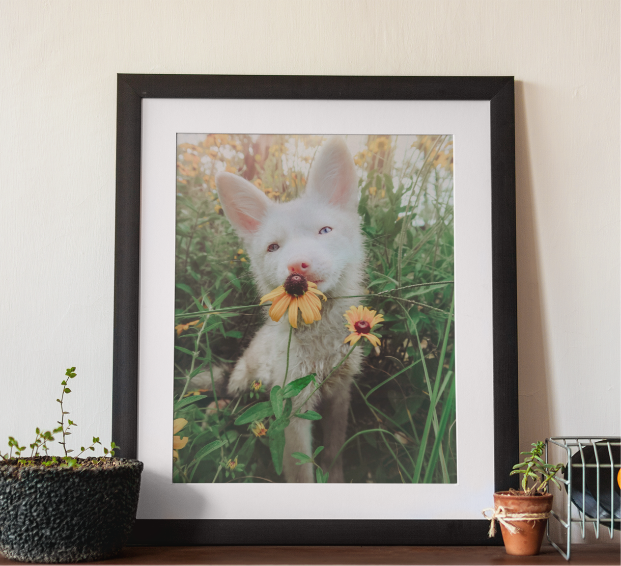 Elmwood The Fox Floral Poster