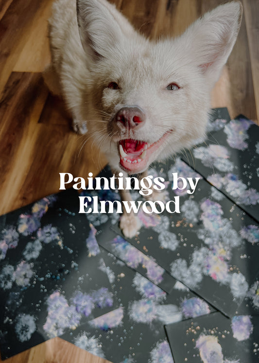 Paw Print Paintings By Elmwood the Alien