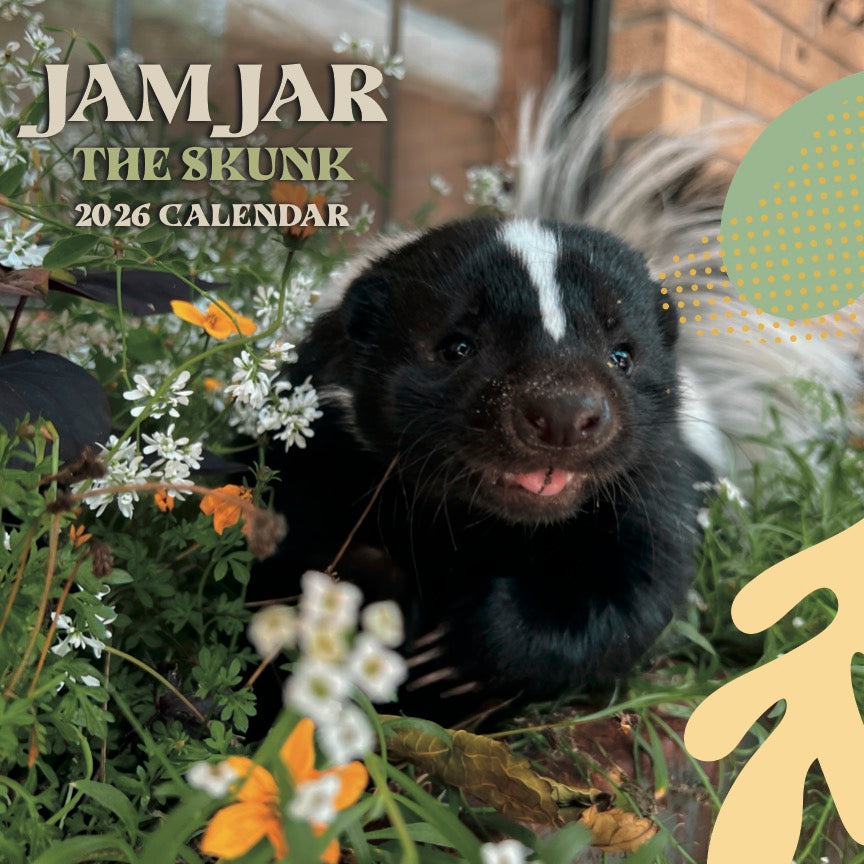 The Happiest 2026 Calendars