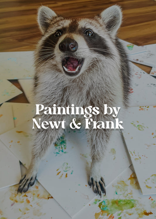 Raccoon Finger Paintings