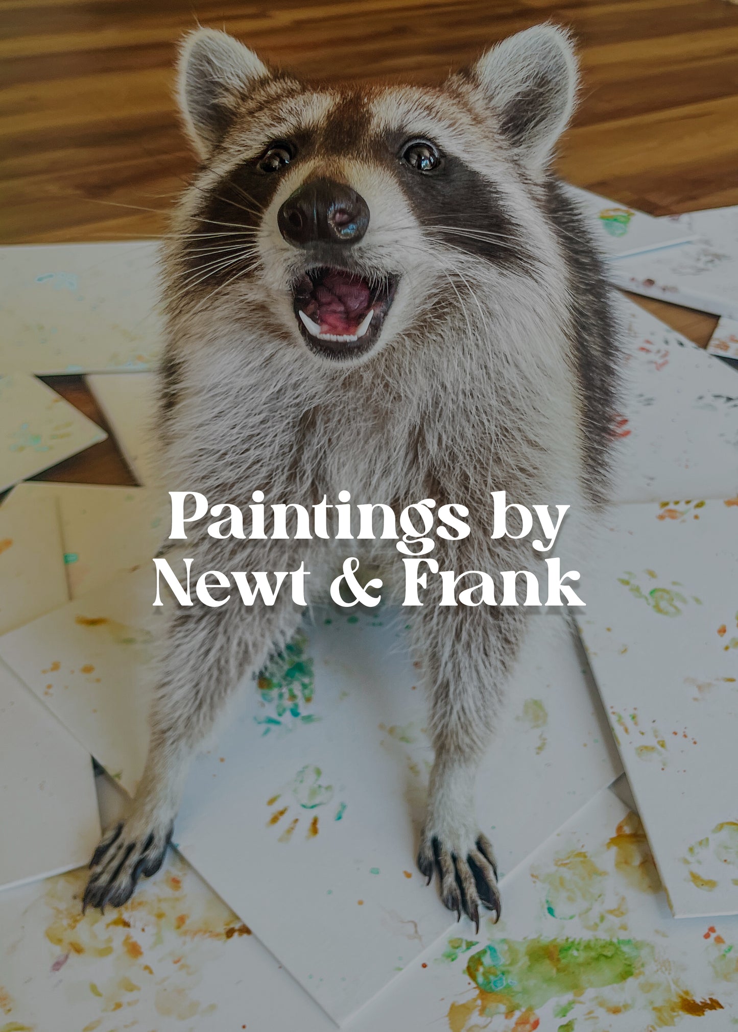 Raccoon Finger Paintings