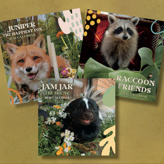 The Happiest 2026 Calendars