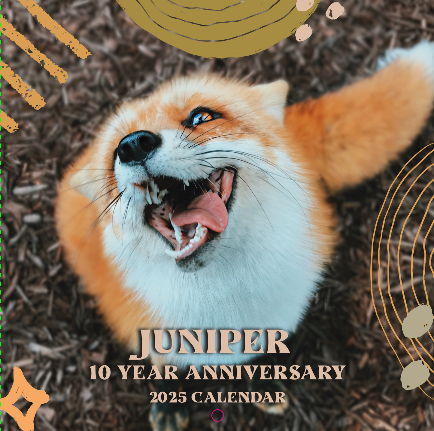 The Happiest 2025 Calendars