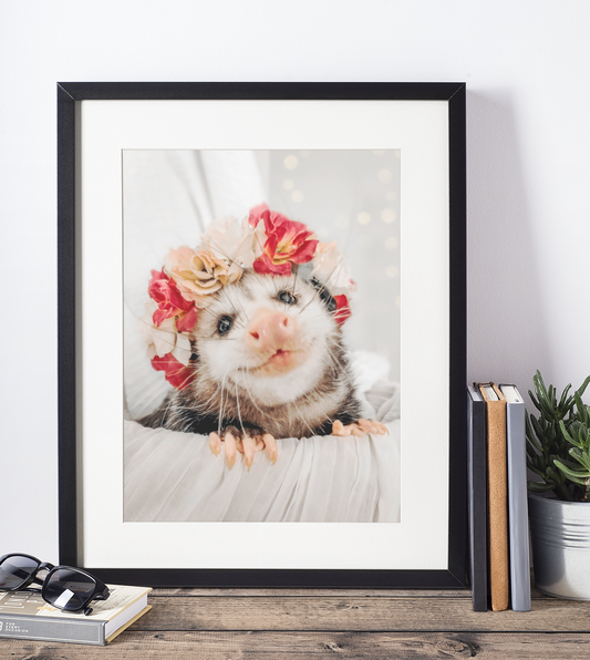 Mushroom The Opossum Floral Poster